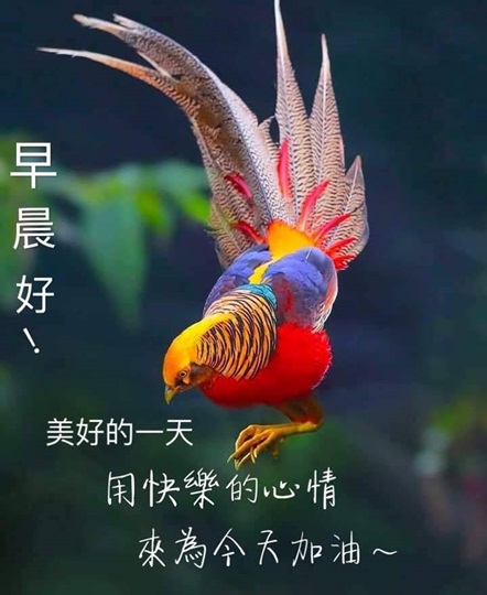 按我可連結至更清楚的圖片